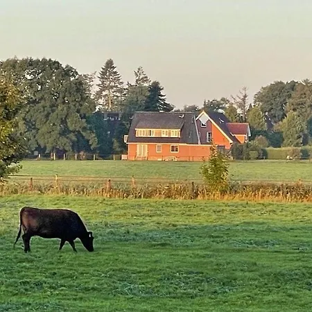 Weitblick *